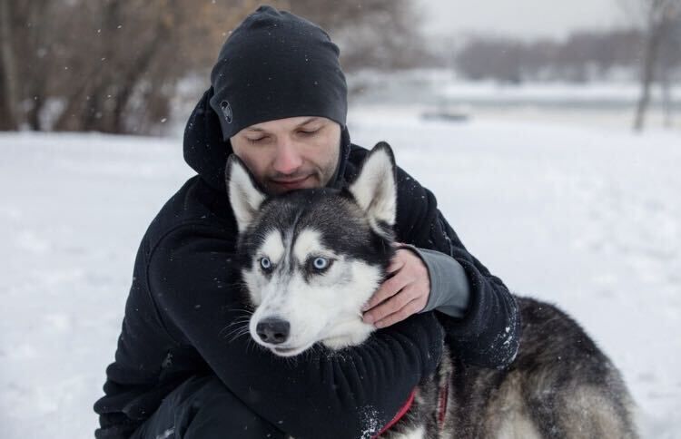 ���� 33793831 ������� �������, 45 ���, ���� ���������� � ������