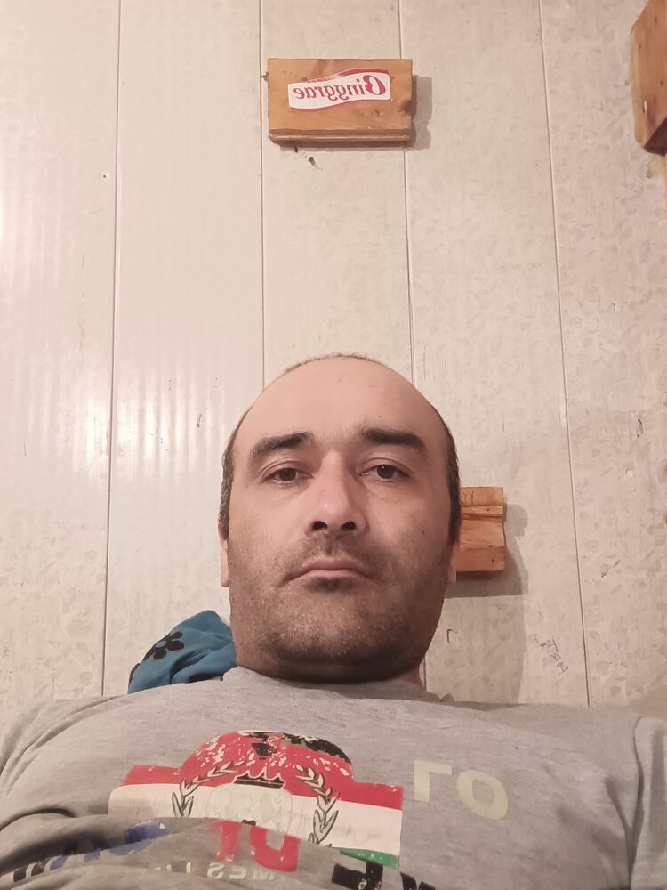  42884561  , 38 ,    