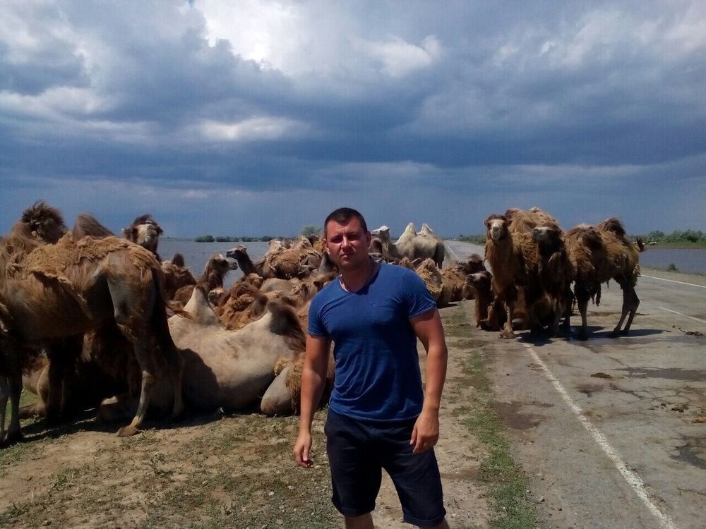 ���������� ���������, ���� ������� �����, 36 ���, ������������ ��� ������, ����� � ���������