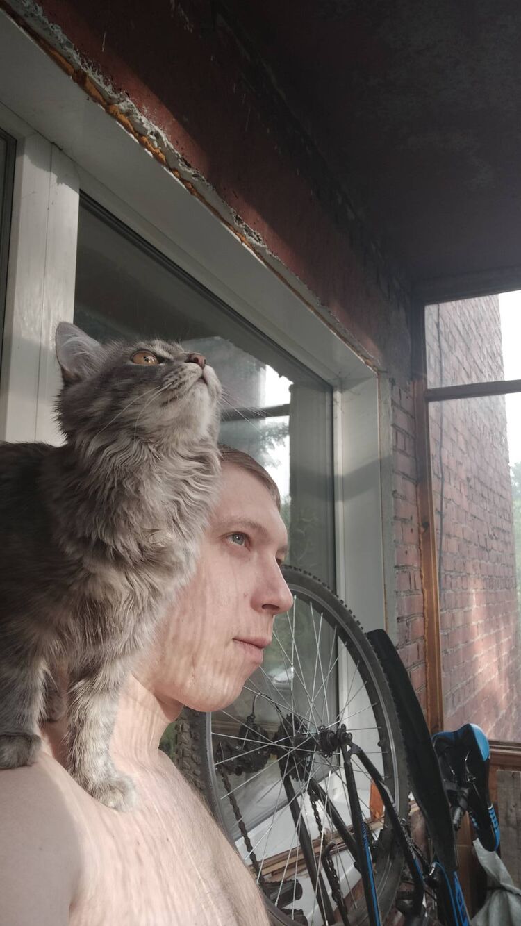 ���������� ��������, ���� ������� �������, 34 ����, ������������ ��� ������, ����� � ���������