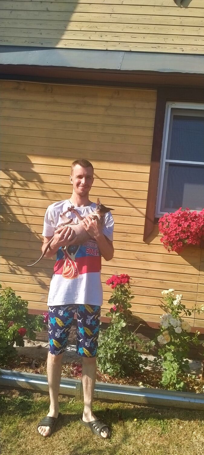  26564331  , 33 ,    -