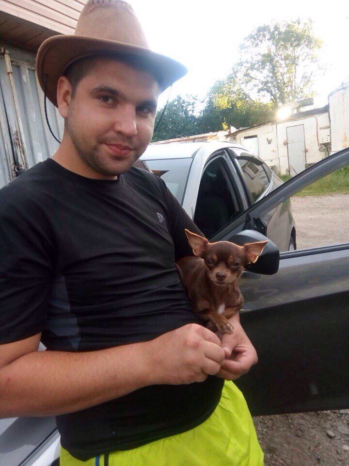 ���� 54917631 ������� ���������, 36 ���, ���� ���������� � �������������