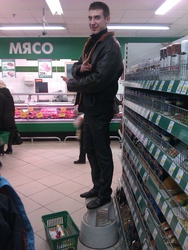 ���� 17640041 ������� �������, 41 ���, ���� ���������� � ��������