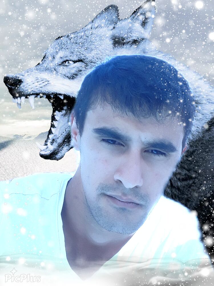 ���� 23456961 ������� ����, 29 ���, ���� ���������� � ��������