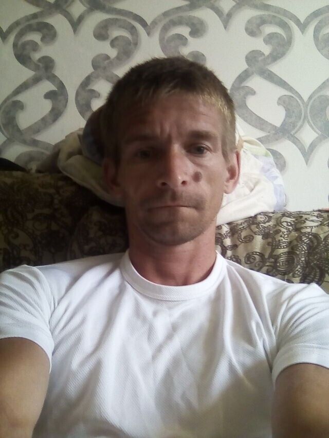  29852661  , 40 ,    