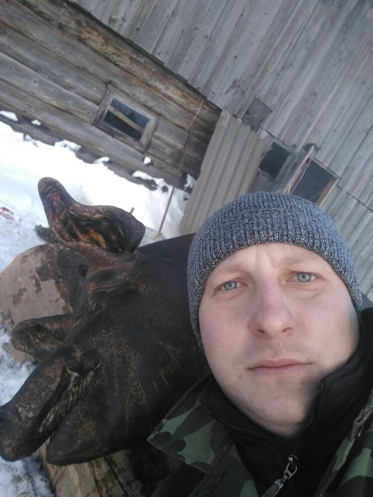 ���� 24852341 ������� ������, 36 ���, ���� ���������� � �������