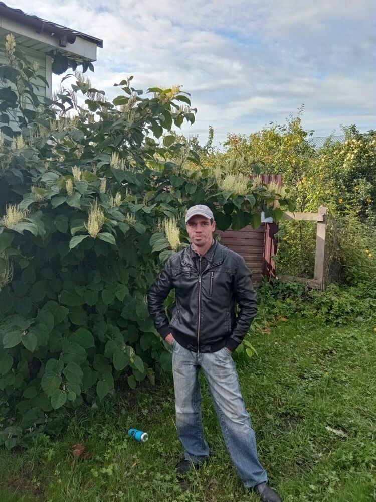 ���� 26023881 ������� ������, 46 ���, ���� ���������� � �����-����������