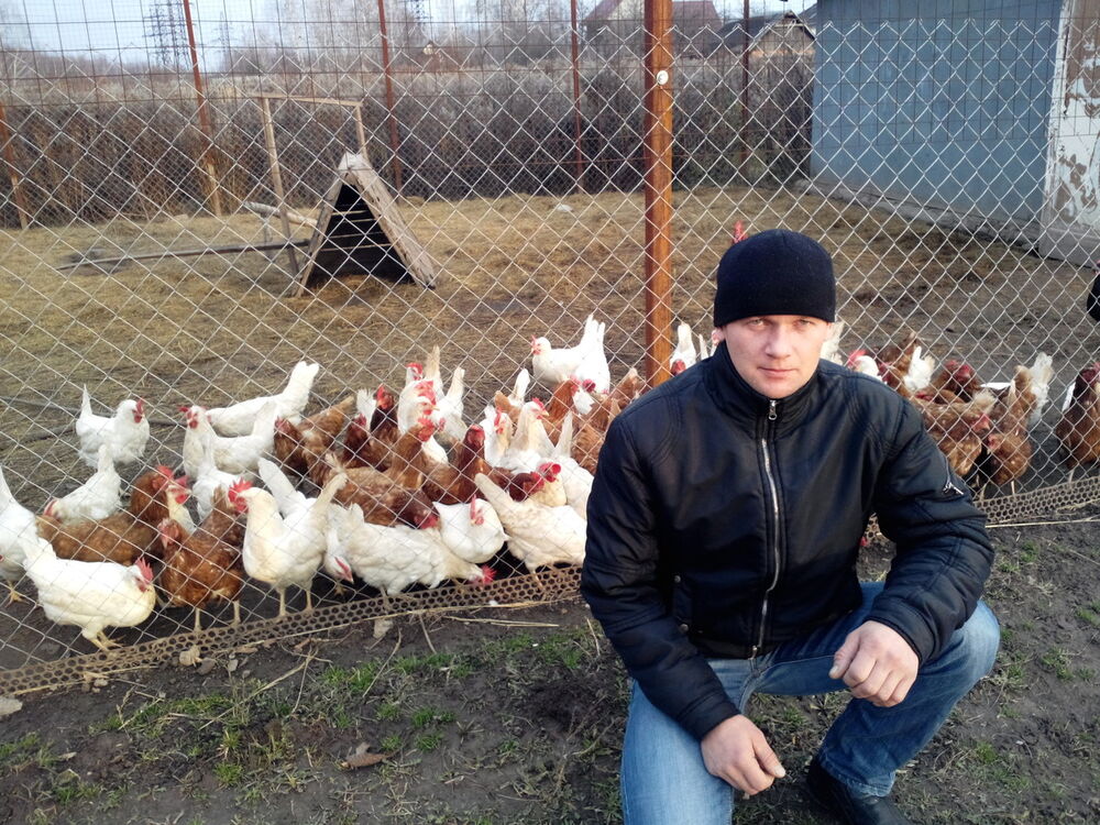 ���� 4066791 ������� ������, 44 ����, ���� ���������� � ����