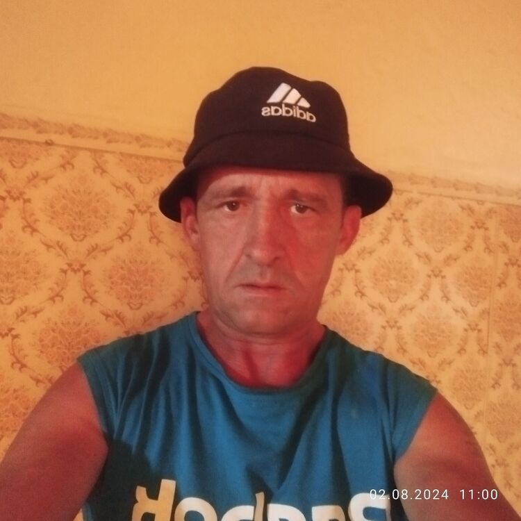 ���������� �������, ���� ������� ��������, 48 ���, ������������ ��� ������