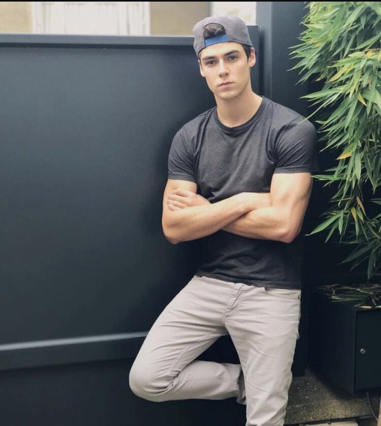  53534521  , 24 ,    --