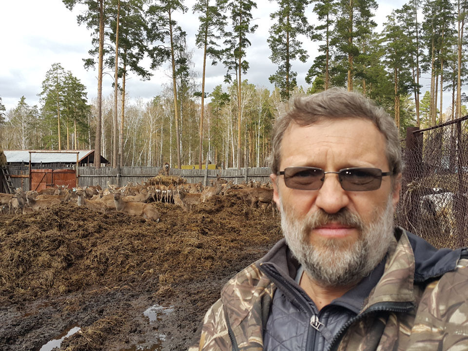 ���� 35381361 ������� �����, 60 ���, ���� ���������� � ���������