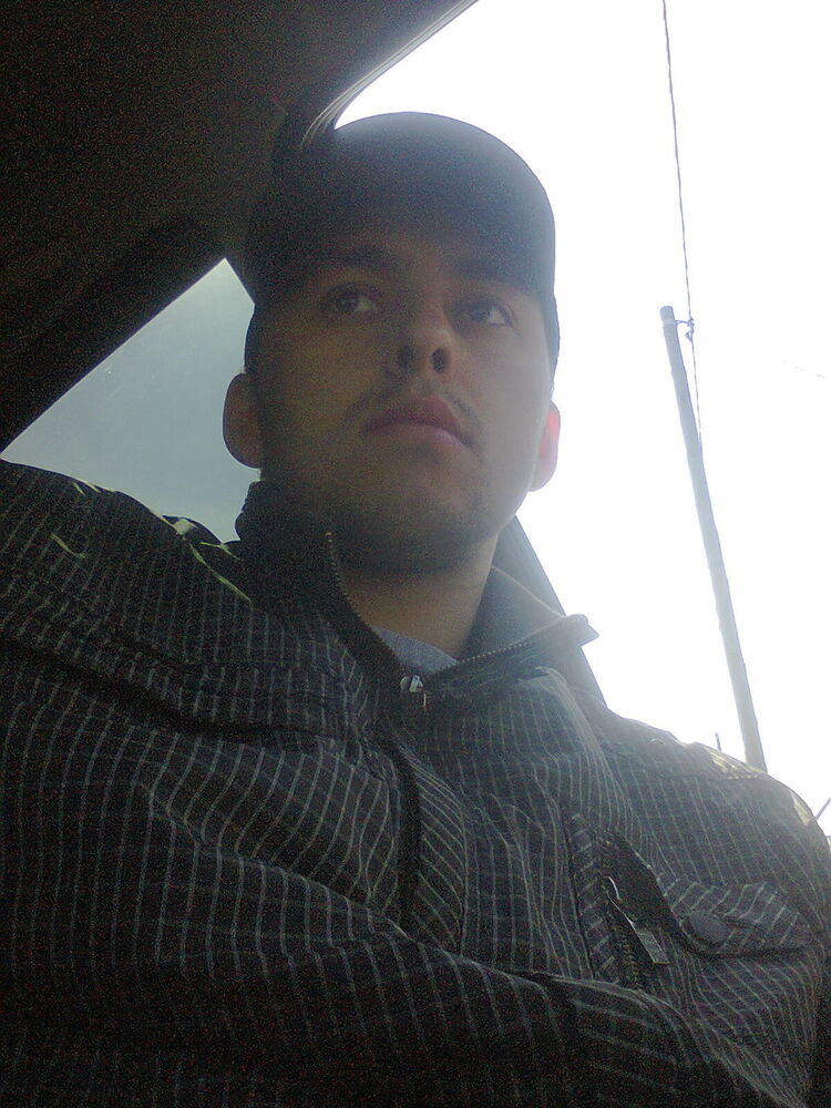  5038081  , 38 ,    