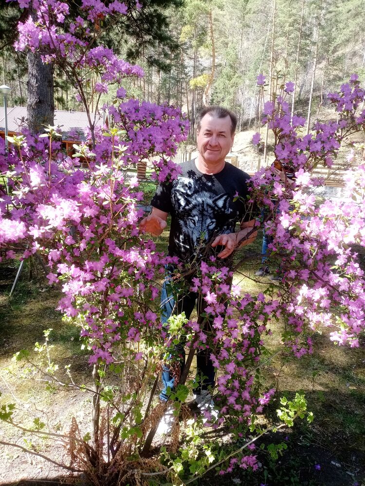 ���������� �������, ���� ������� �������, 55 ���, ������������ ��� ������, ����� � ���������, c�������� ���������