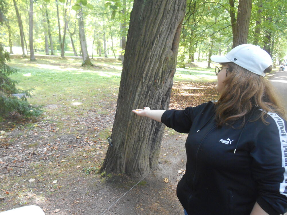  54789941  , 22 ,    -