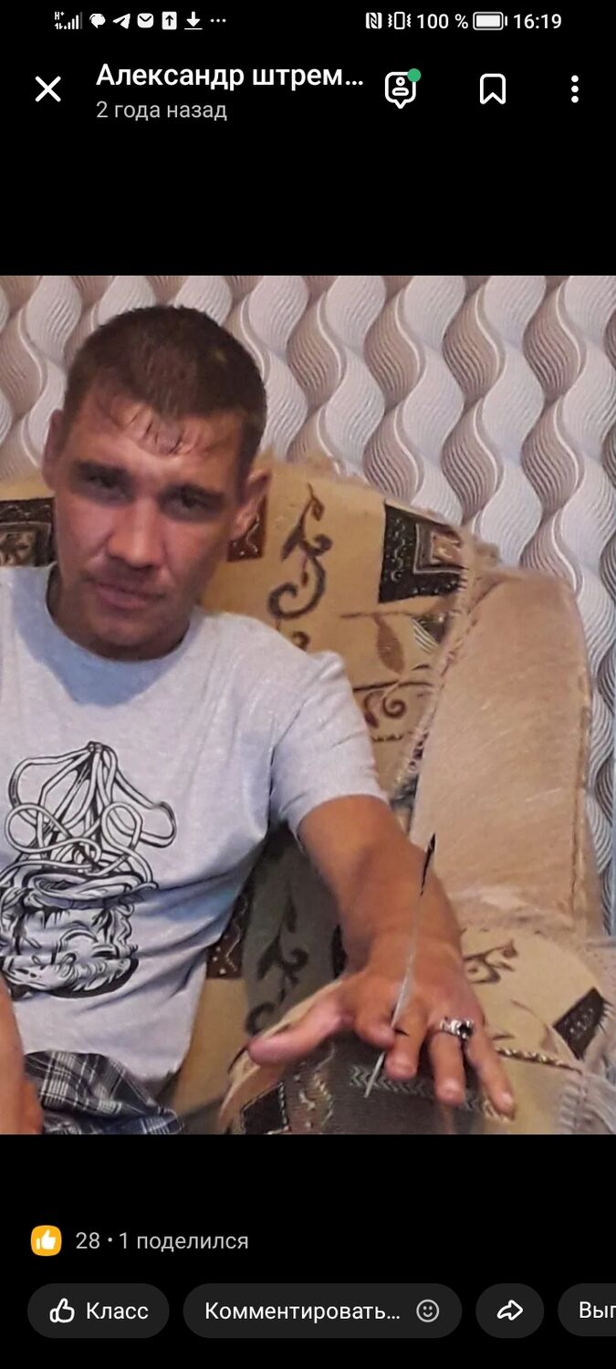 ���� 53539781 ������� ���������, 39 ���, ���� ���������� � ����������