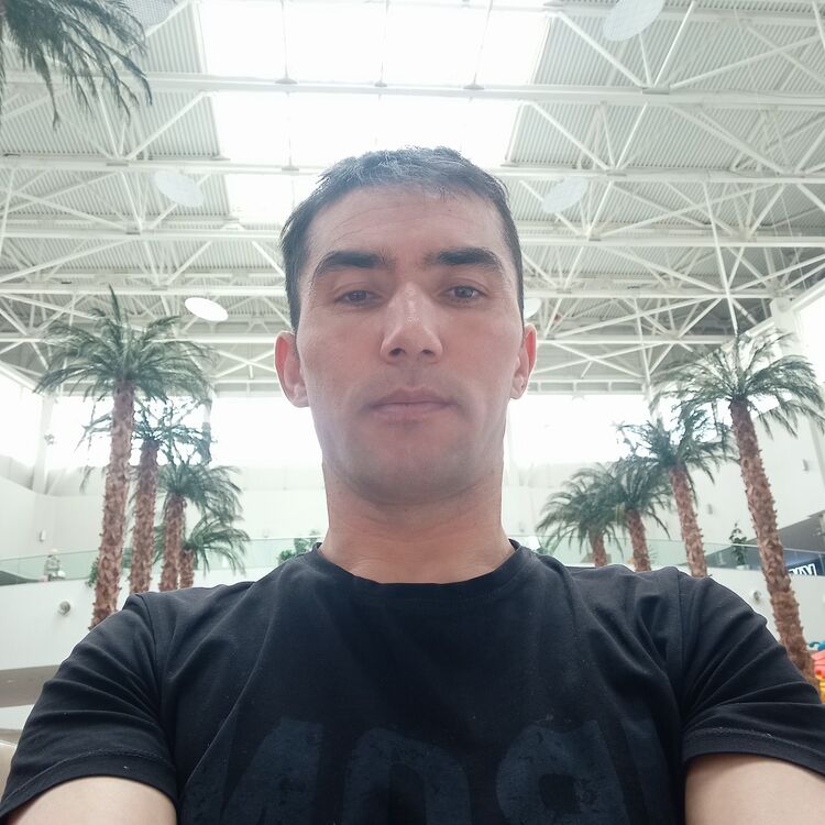 ���� 23348171 ������� ����, 38 ���, ���� ���������� � ������������