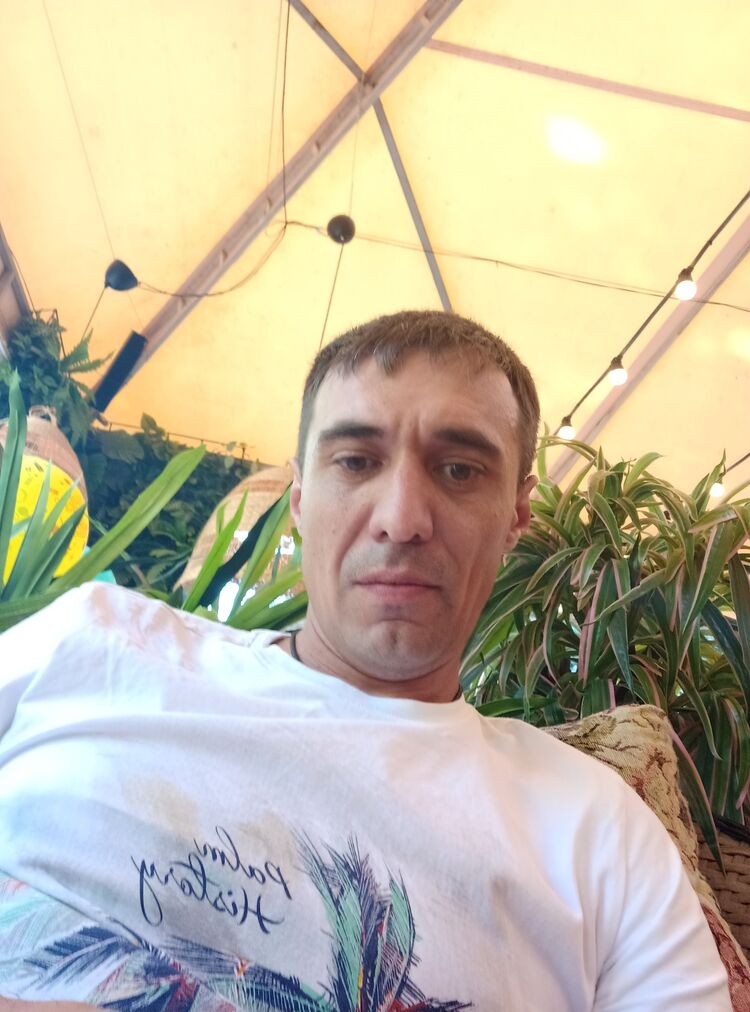  29497061  , 38 ,    