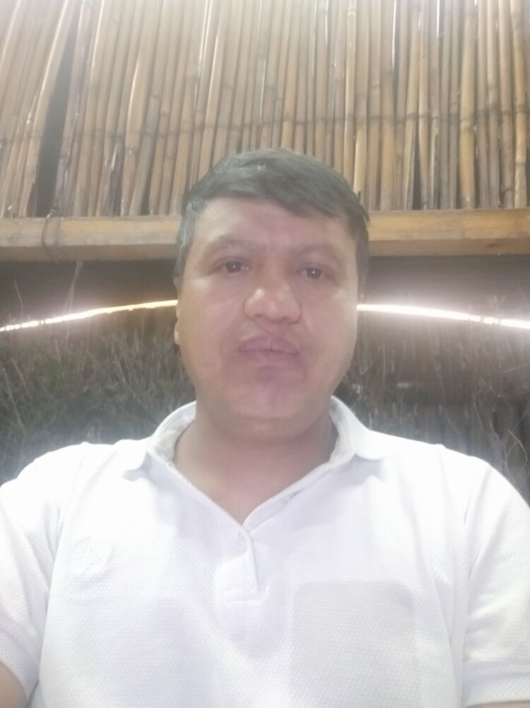 38272621  , 43 ,    