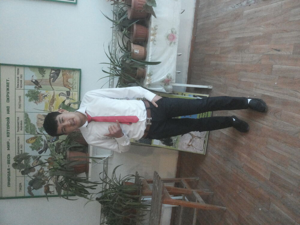  ,    , 38 ,   