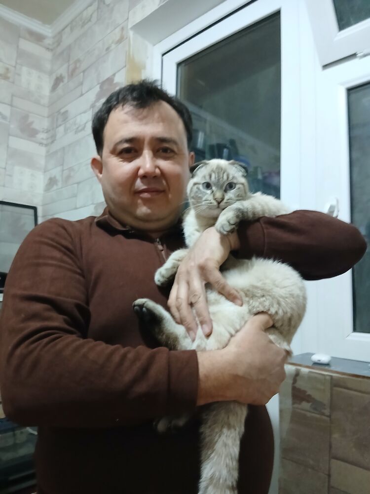 ���������� �������, ���� ������� �����, 43 ����, ������������ ��� ������, ����� � ���������, c�������� ���������