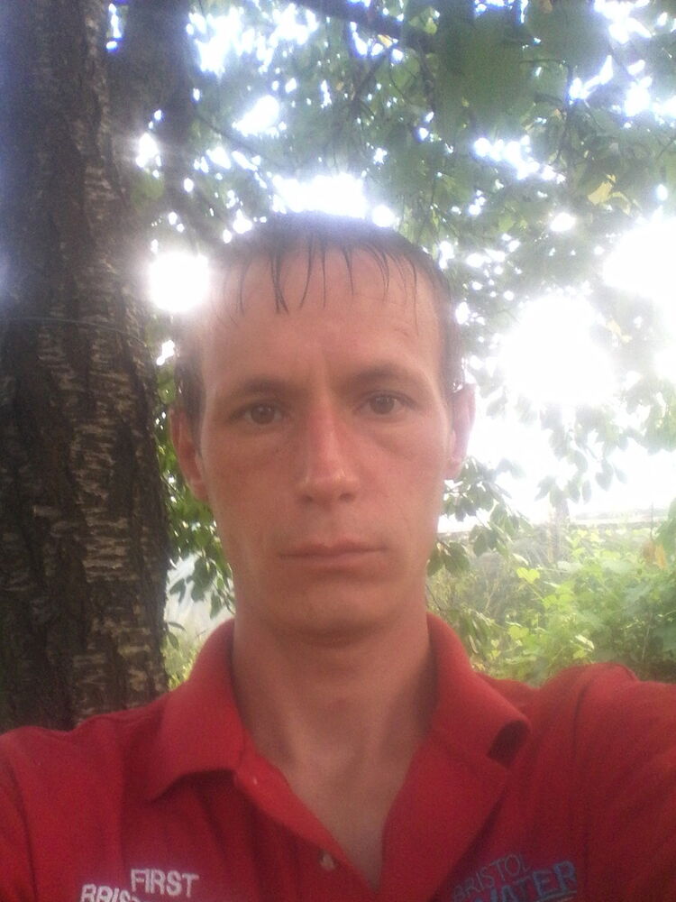  12950071  , 41 ,    