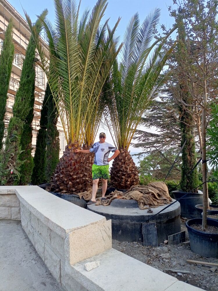 ���������� ���������, ���� ������� ��������, 36 ���, ������������ ��� ������, ����� � ���������