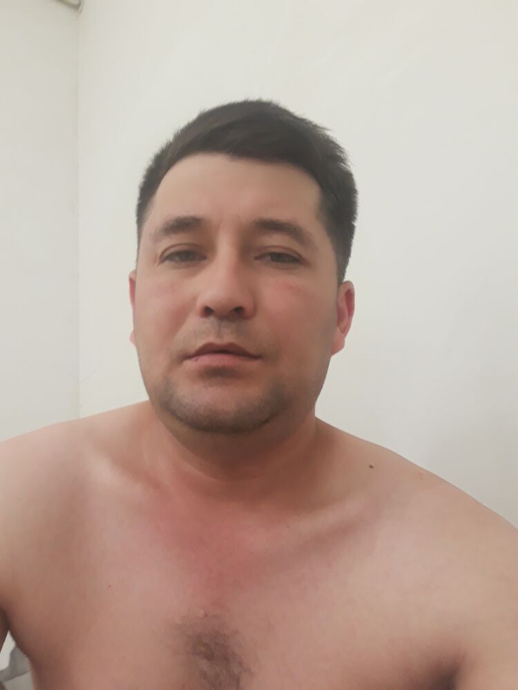  43784731  , 40 ,    