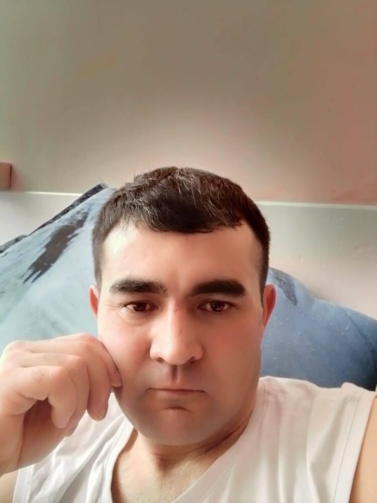  45861501  , 45 ,    