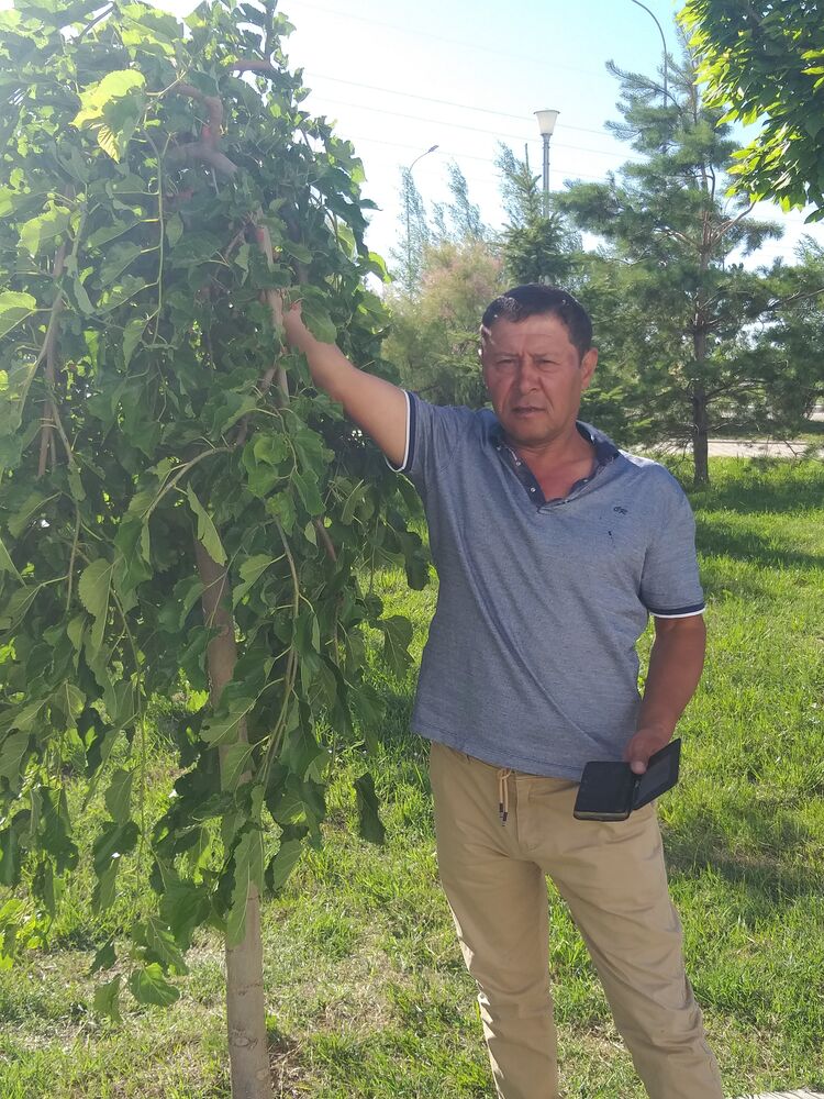 ���� 27483151 ������� �����, 48 ���, ���� ���������� � �����������