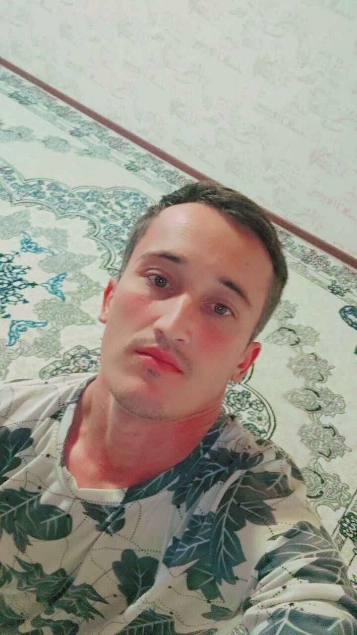  40686071  , 31 ,    