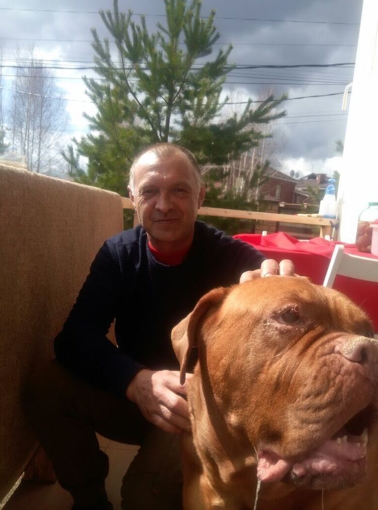 ���� 16996731 ������� ����, 55 ���, ���� ���������� � ����������