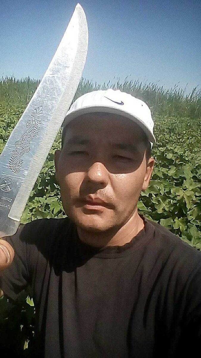 ���� 13173621 ������� Asan, 37 ���, ���� ���������� � ������