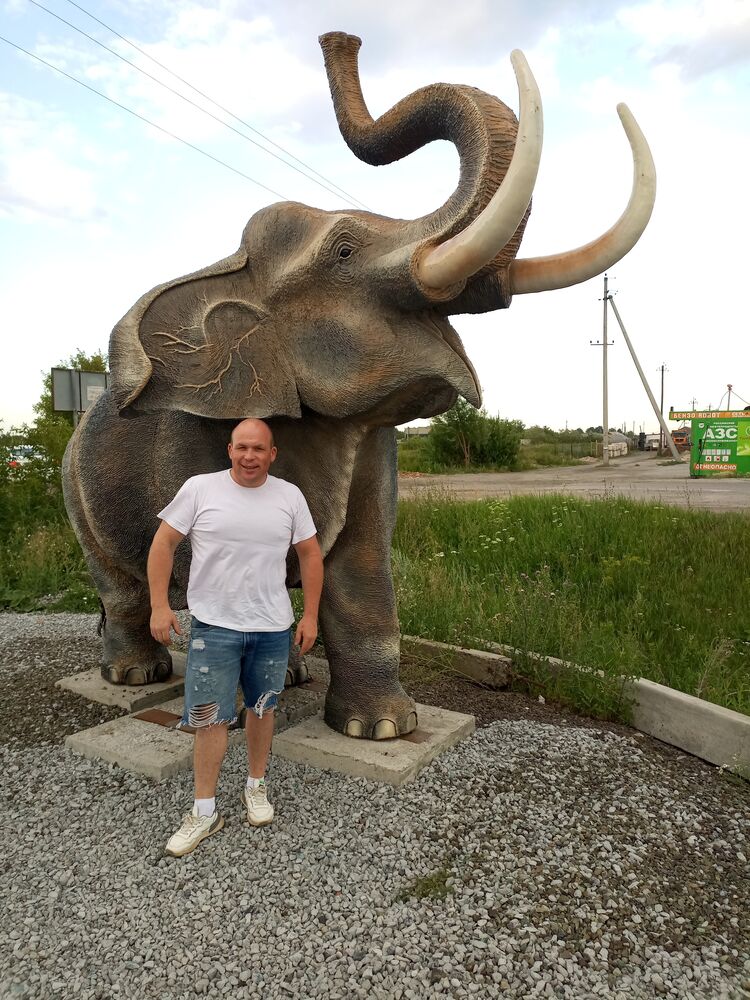 ���� 36330001 ������� ������, 36 ���, ���� ���������� � �����