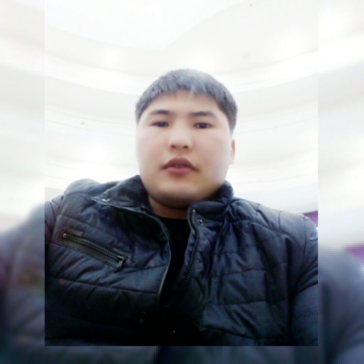  28639321  , 33 ,    