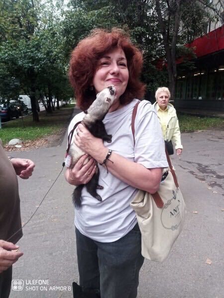 ���� 55212341 ������� ��������, 54 ����, ���� ���������� � ������