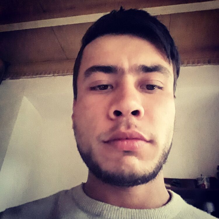  14041241   , 29 ,    