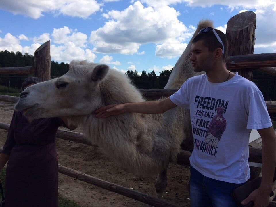 ���������� ����, ���� ������� ����, 32 ����, ������������ ��� ������, ����� � ���������, c�������� ���������