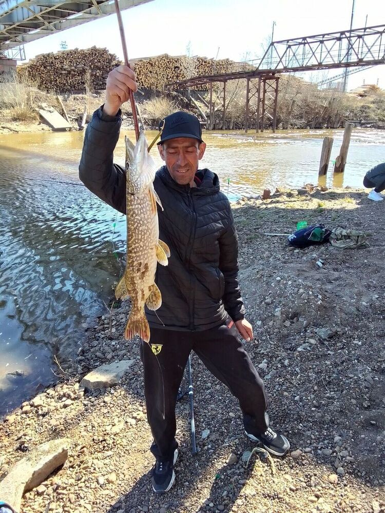 ���������� �����, ���� ������� ������, 45 ���, ������������ ��� ����� � ���������, c�������� ���������