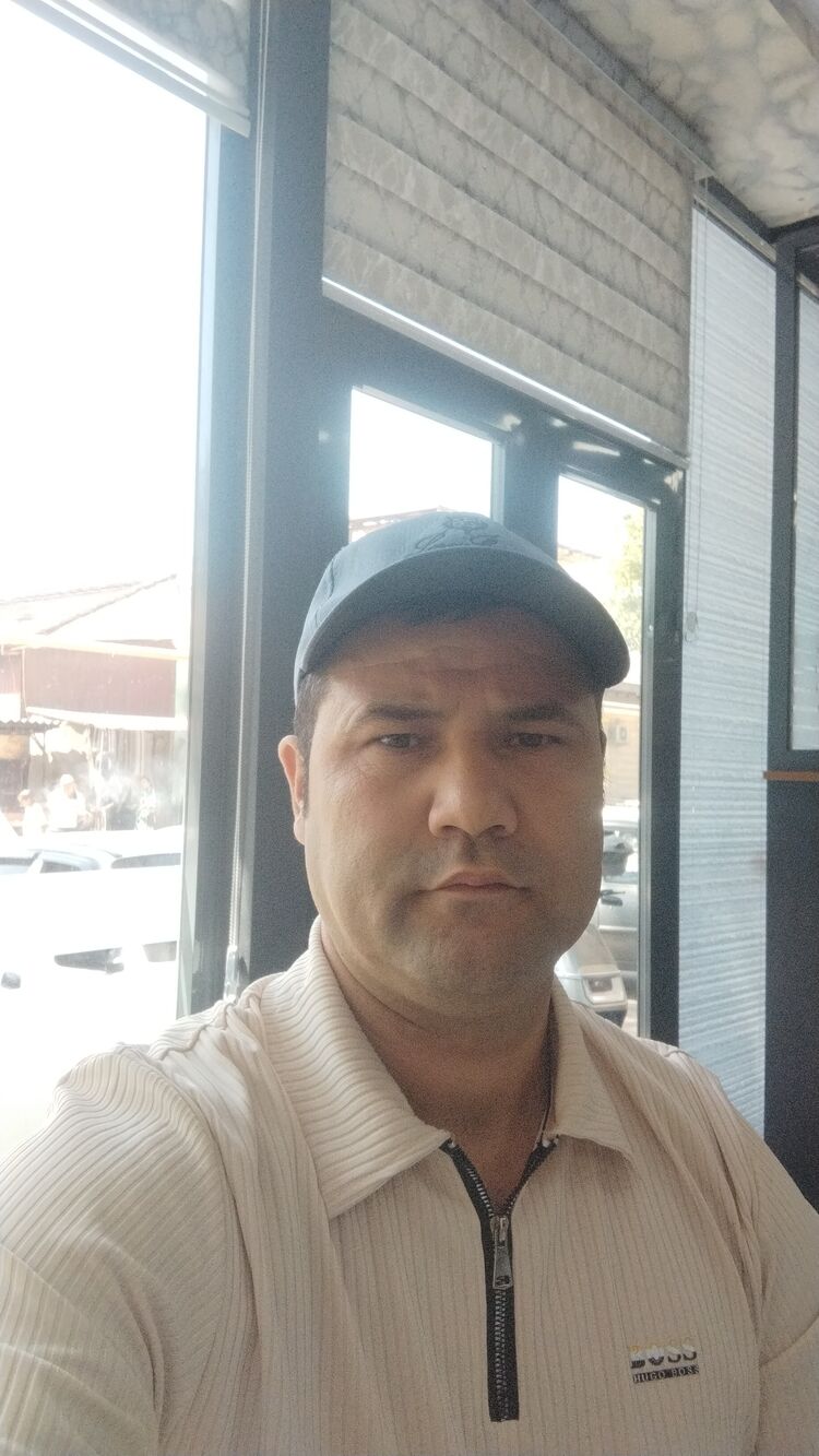  50895381  , 37 ,    