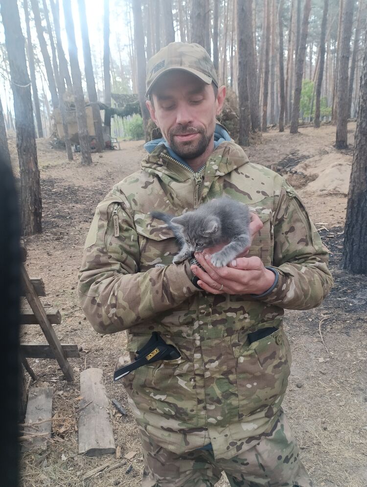 ���� 46723251 ������� ����, 36 ���, ���� ���������� � ������