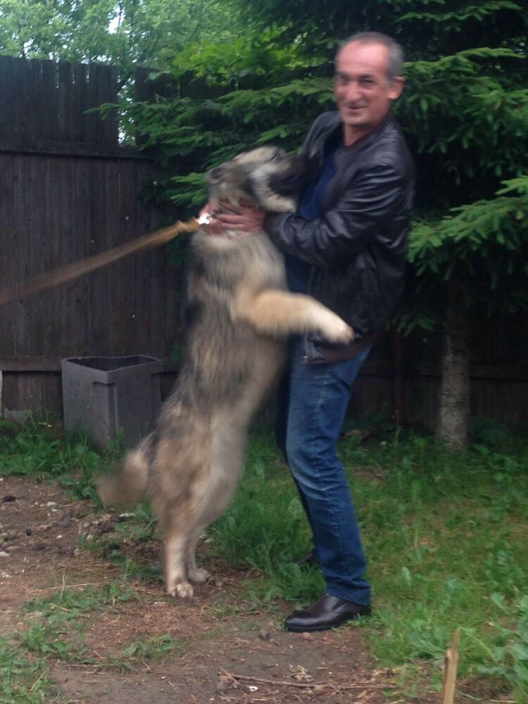 ���������� ������, ���� ������� ����, 59 ���, ������������ ��� ������, ����� � ���������, c�������� ���������, ���������