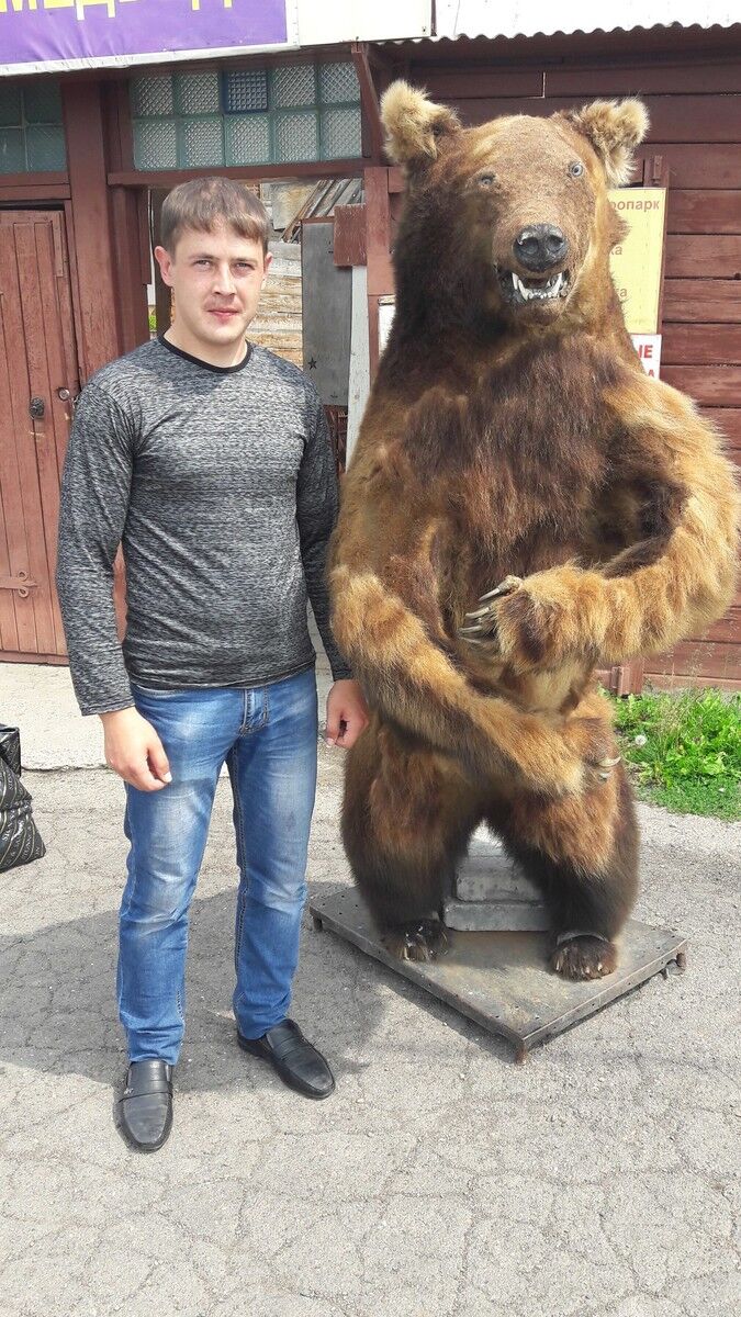 ���� 19748851 ������� �����, 35 ���, ���� ���������� � ��������