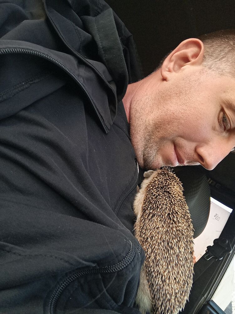 ���� 53350381 ������� �������, 32 ����, ���� ���������� � ��������