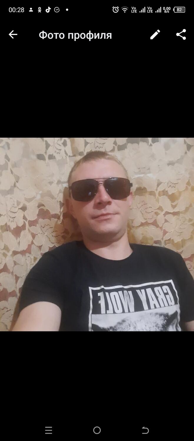 39245161  , 31 ,    