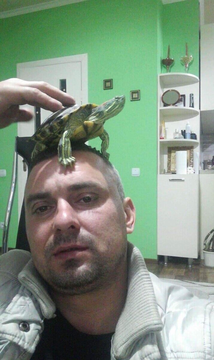  20352571  , 41 ,    