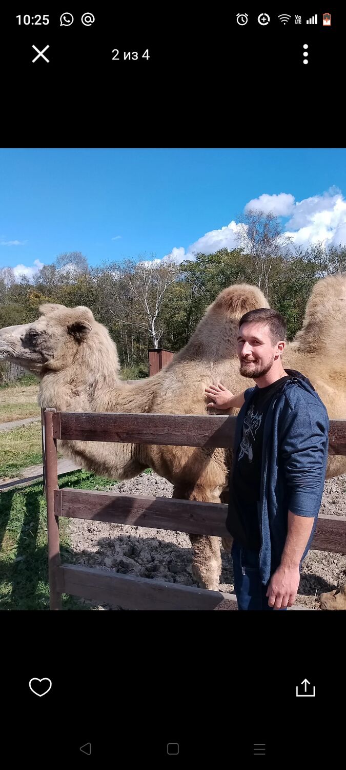  ,   Denis Olegov, 35 ,     , c 