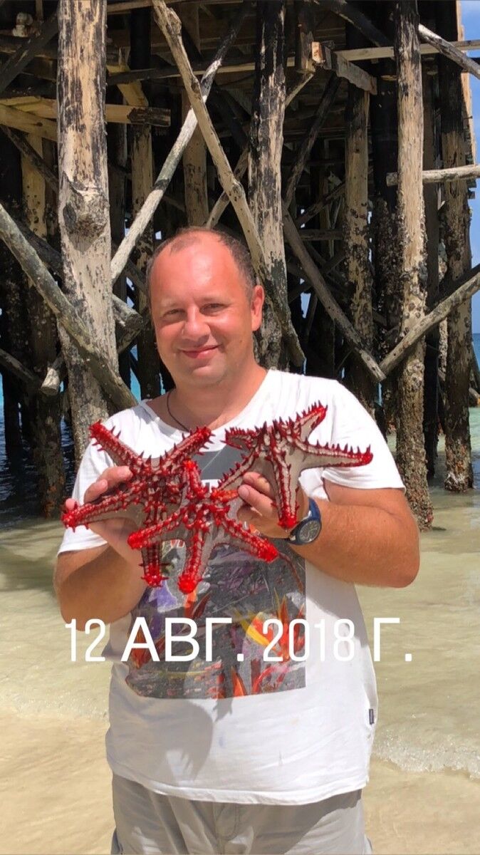 ���� 15176071 ������� ���������, 50 ���, ���� ���������� � �������-��-����