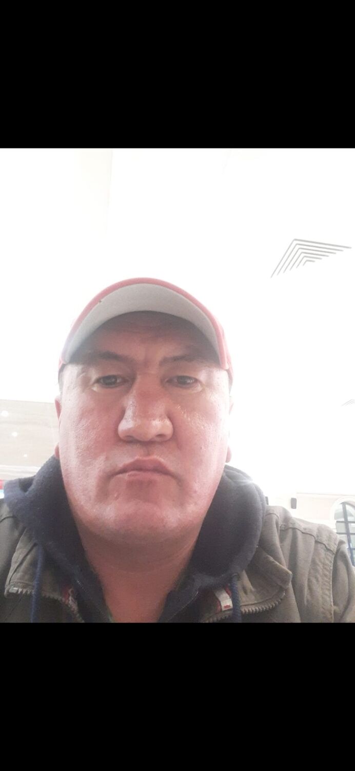 ���� 56169041 ������� �����, 40 ���, ���� ���������� � ��������