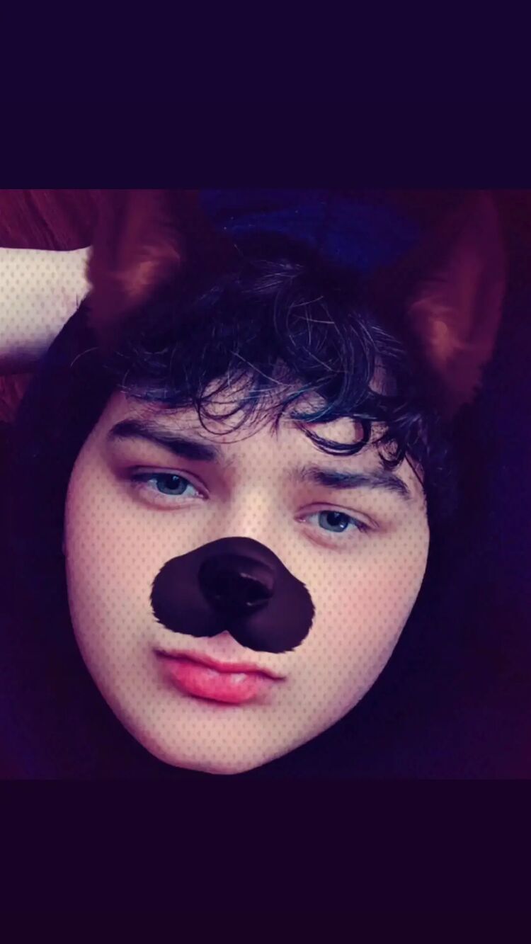 ���� 55275931 ����� Dachi, 18 ���, ���� ���������� � ������