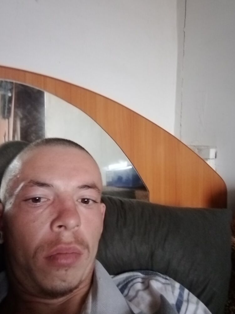  29737541  , 28 ,    